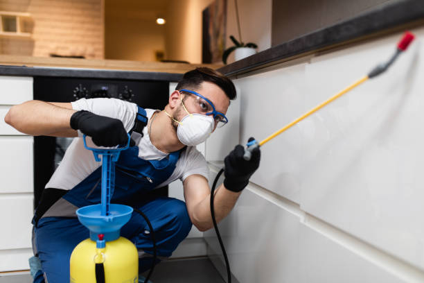 Best Flea Control Services  in Clarkston, WA