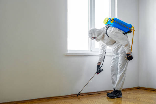 Best Best Pest Control Companies  in Clarkston, WA