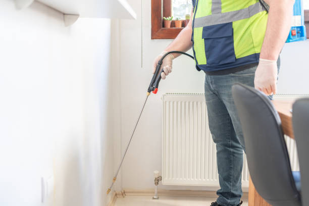 Best Termite Control Services  in Clarkston, WA