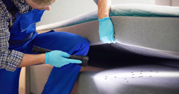 Best Pest Control Near Me  in Clarkston, WA