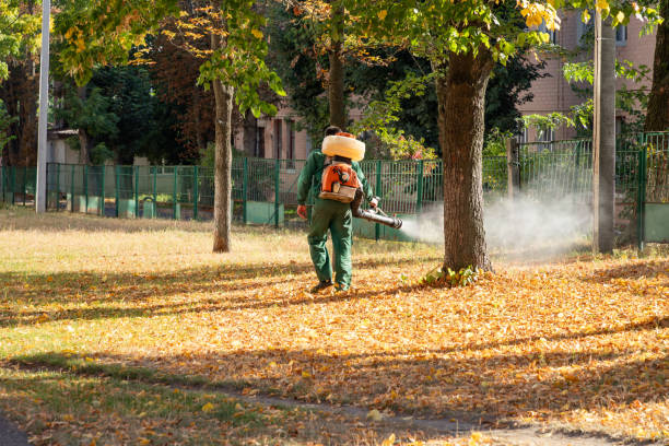 Best Pest Prevention Services  in Clarkston, WA