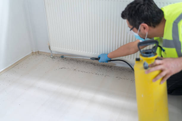 Best Residential Pest Control  in Clarkston, WA